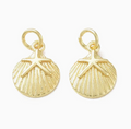 Gold Starfish on Shell - Small