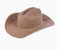 Light Brown Felt Hat